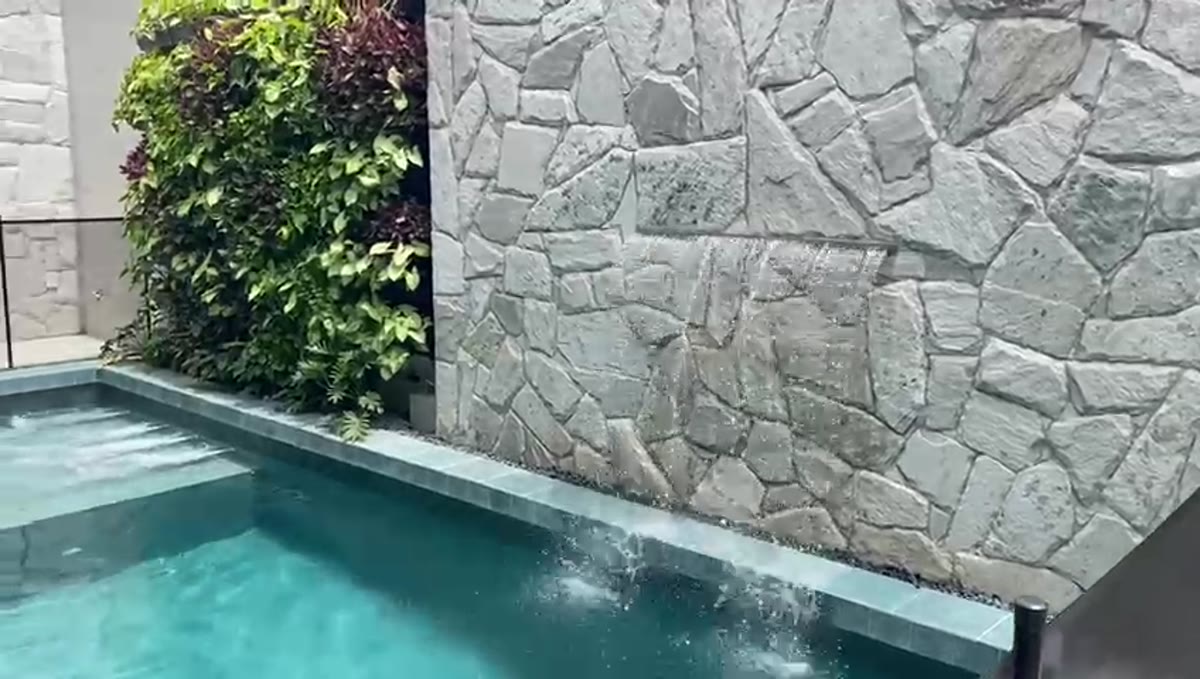 Vídeo Vitaly — Projeto premium automatizado